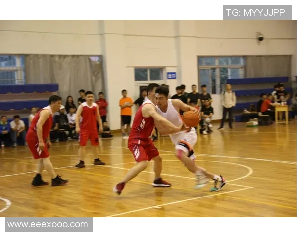 深圳篮球队的拼搏历程与荣耀之路深度解析