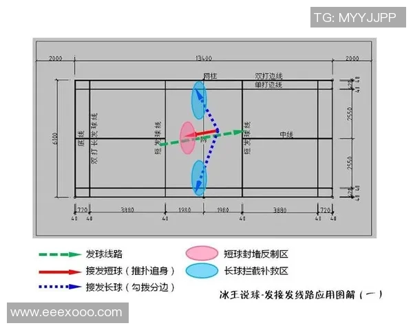 南京羽毛球队中路突破战术解析与实战应用探讨