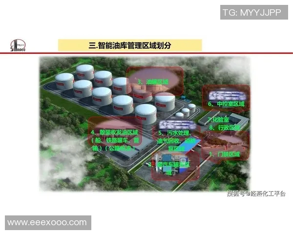 深圳排球队灵活性分析与战术创新的深度探讨
