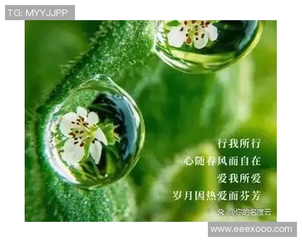 藏族美女与足球明星的浪漫爱情故事在草原上绽放出绚丽的花朵