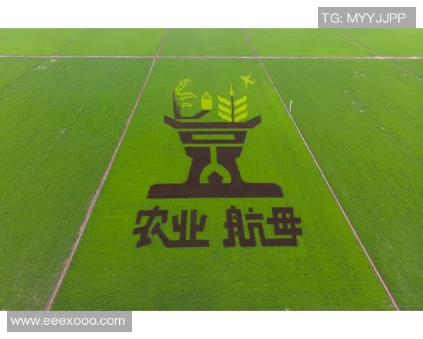 日本足球进入新时代青训改革与职业联赛发展双轮驱动的全新征程