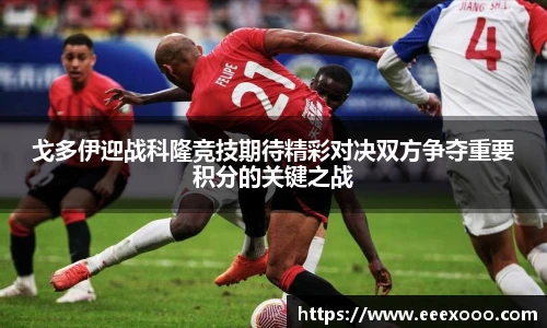 yy体育