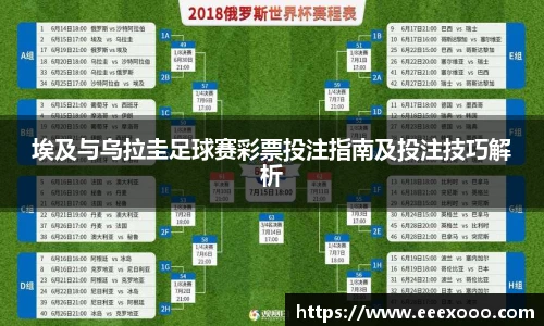 yy易游